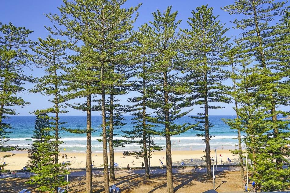 Melhores Praias de Sydney: Manly Beach