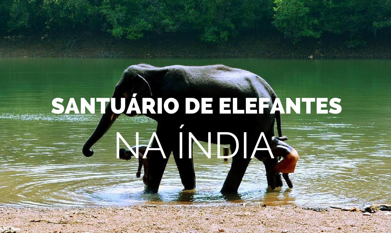 Uma Visita a um Santuário de Elefantes na Índia