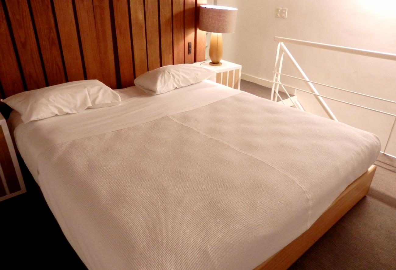 Where to Stay in Buenos Aires: Room Mate Carlos Hotel