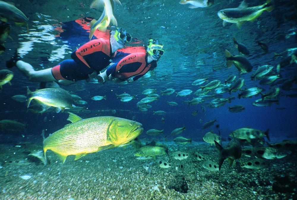 Beautiful Places to Visit in Brazil: Bonito