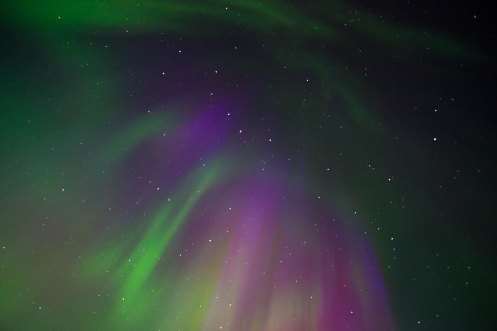 Cool Things to do in Calgary for free