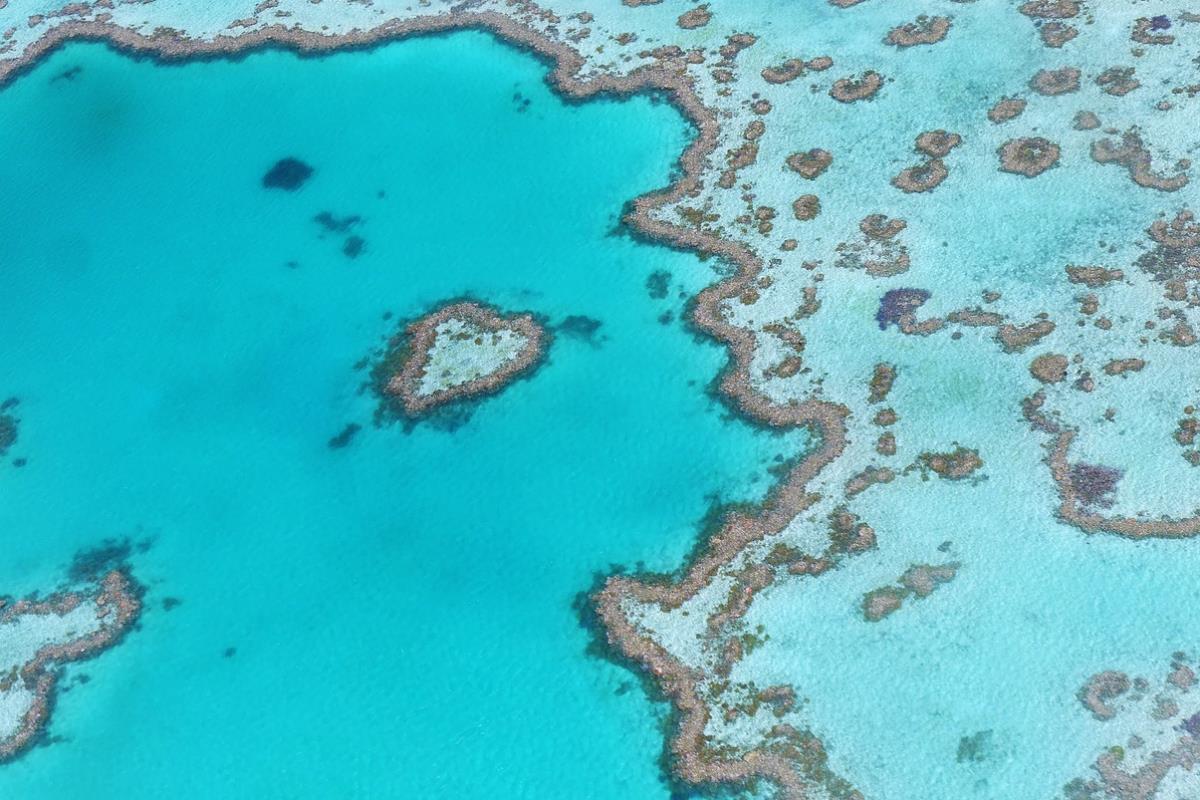 Top Places To Visit In Australia - Great Barrier Reef
