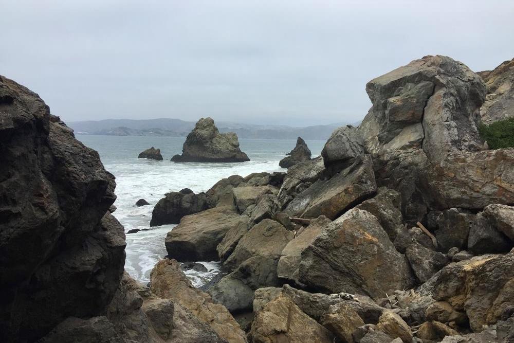 Free Things To Do In San Francisco
