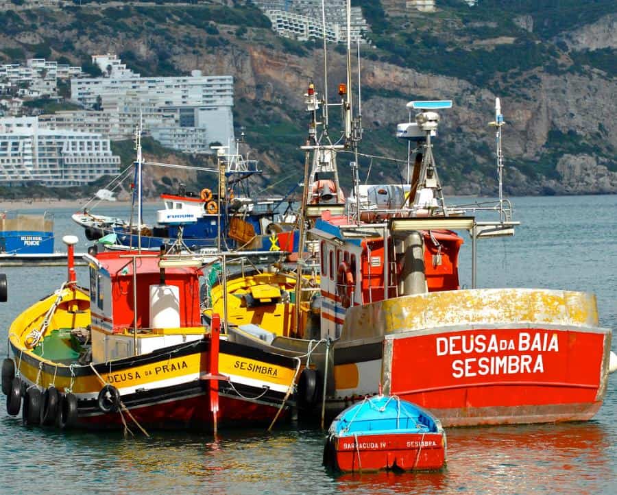 Day Trips From Lisbon - Sesimbra