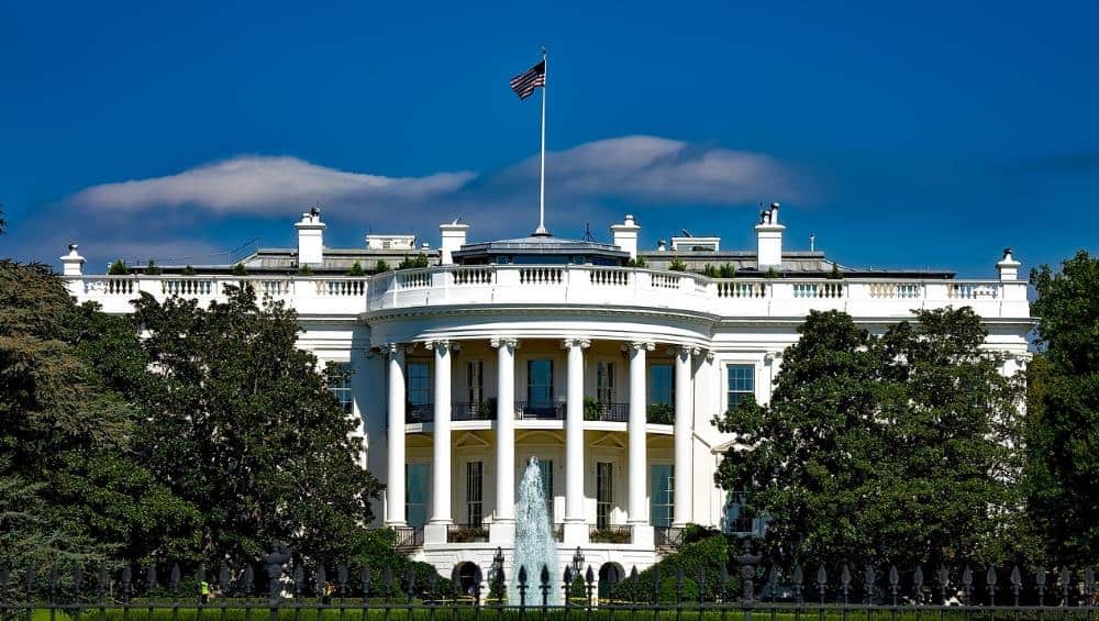 Best Things To do In Washington DC