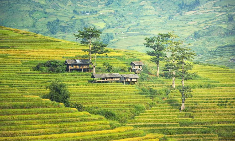 Vietnam Attractions