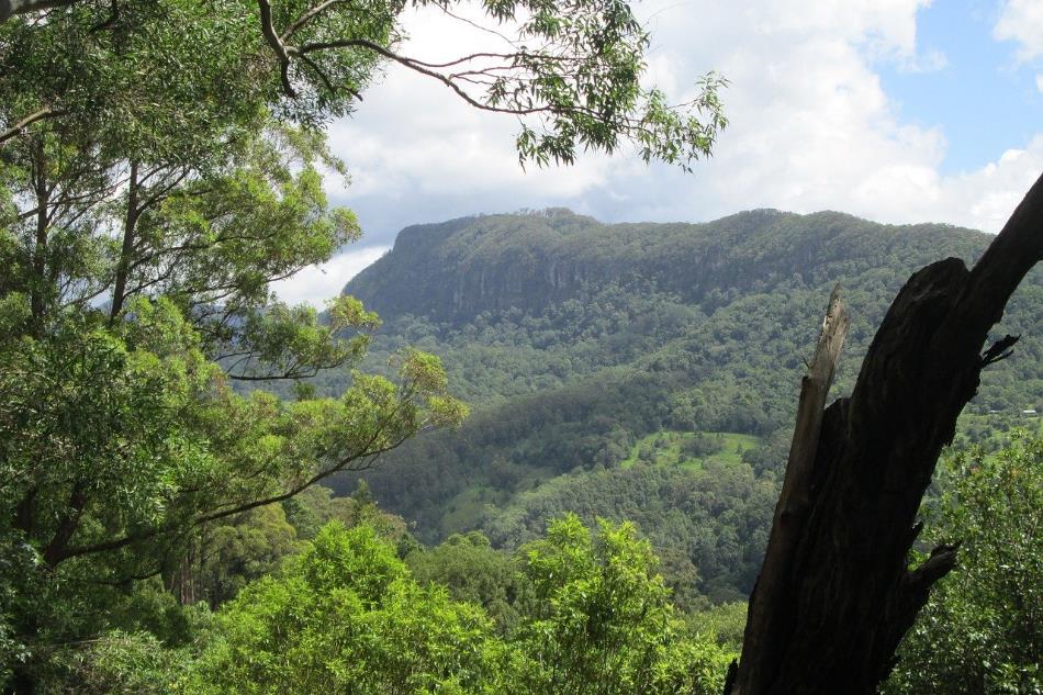 Things to do in Surfers Paradise: Visit the hinterland