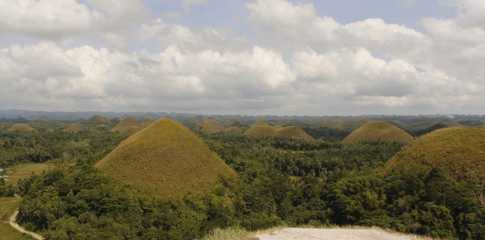What to do in Bohol: Visit Chocolate Hills