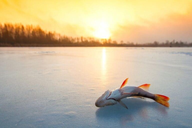 11 Best Places For Ice Fishing in Ontario