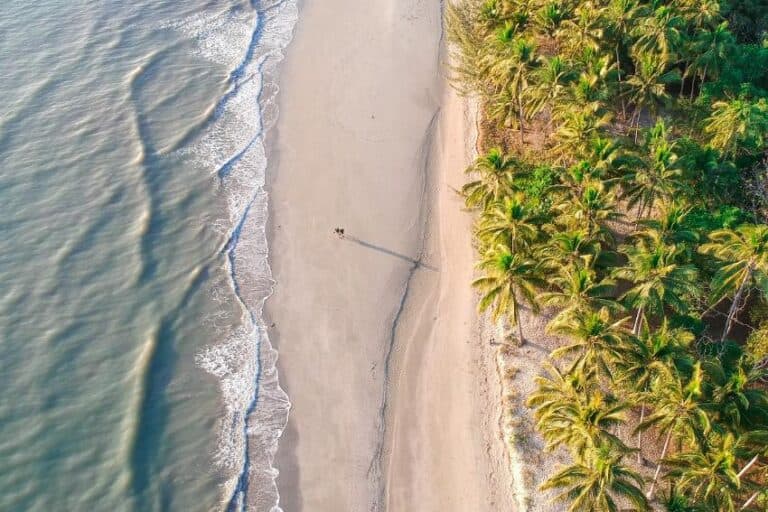 Best Things To Do in Port Douglas: Attractions & Tours