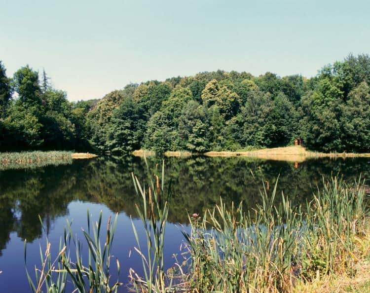 Fishing lakes in Oxfordshire