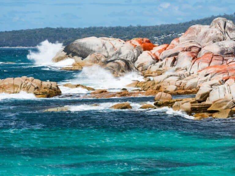Australia’s Best Campsites for Your Next Adventure
