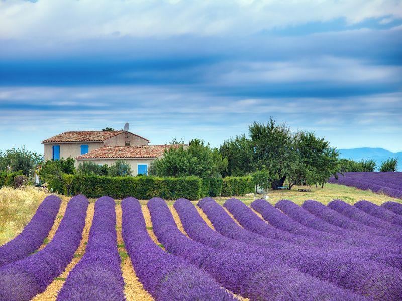 Unique experiences in Provence